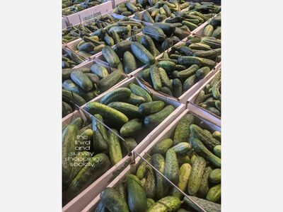 Do You Know The Benefits Of Cucumbers?